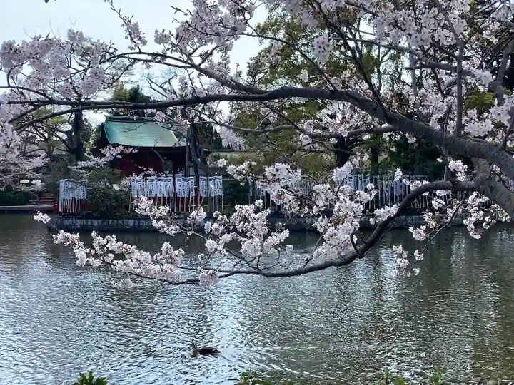 旗上弁財天社の自然