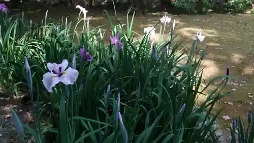 賀茂別雷神社（上賀茂神社）の庭園