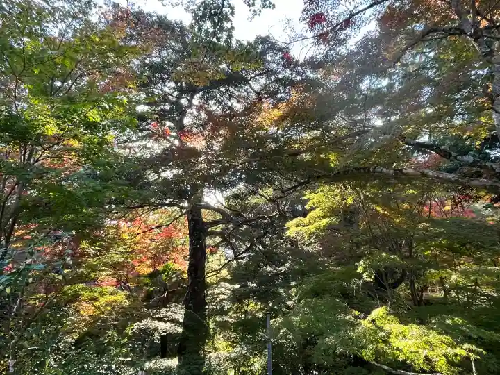 善水寺(滋賀県)