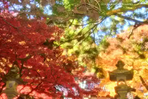 最乗寺（道了尊）(神奈川県)