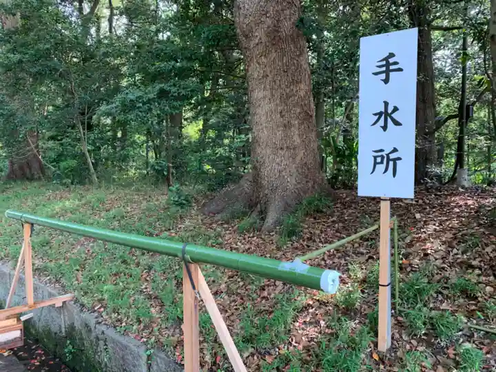 明治神宮の手水舎