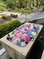 伊勢の国 四天王寺の手水舎