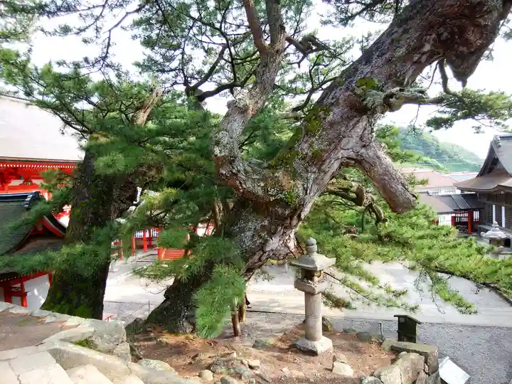 日御碕神社(島根県)