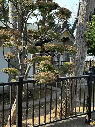 法華経寺(千葉県)