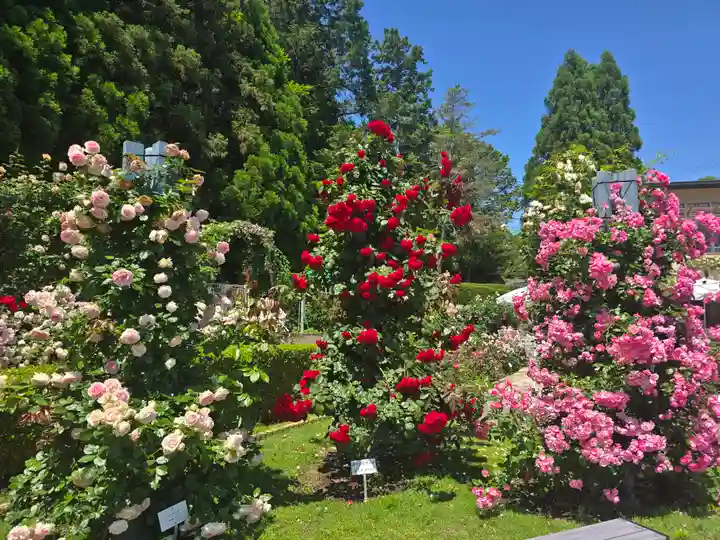 霊山寺(奈良県)