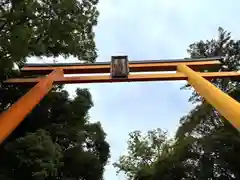 川越氷川神社(埼玉県)