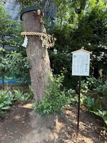 川越八幡宮(埼玉県)
