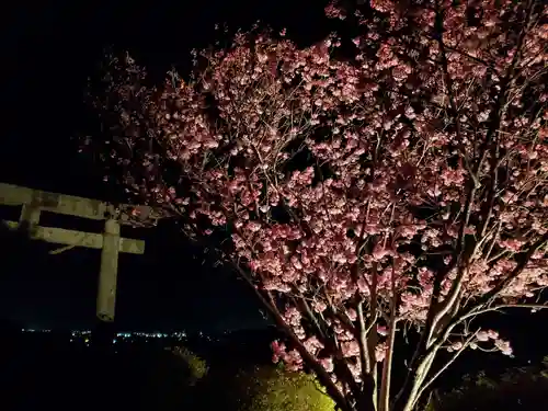 春日神社の庭園