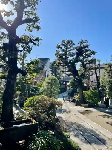 浄正寺の{uncategorized: "未分類", other: "その他", undefined: "問題あり", building: "その他建物", grave: "お墓", sacred_gate: "鳥居", guardian: "狛犬", statue: "像", buddha: "仏像", history: "歴史", nature: "自然", garden: "庭園", animal: "動物", pagoda: "塔", temizu: "手水舎", mountain_gate: "山門・神門", sanctuary: "本殿・本堂", subordinate: "末社・摂社", art: "芸術", scenery: "景色", jizo: "地蔵", ema: "絵馬", goshuin: "御朱印", omikuji: "おみくじ", items: "授与品その他", amulet: "お守り", goshuincho: "御朱印帳", eats: "食事", festival: "お祭り", votive_dance: "神楽", shichigosan: "七五三参", wedding: "結婚式", experience: "体験その他", initially: "初詣", around: "周辺", anti_infection: "感染症対策"}