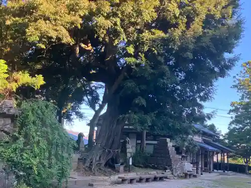 揖夜神社(島根県)