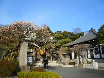 長谷寺のその他建物