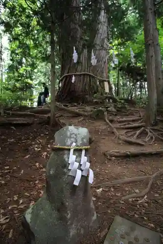 戸隠神社火之御子社(長野県)