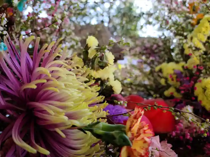 滑川神社 - 仕事と子どもの守り神の自然