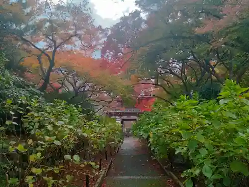 久安寺(大阪府)