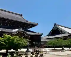 本山専修寺の建物その他