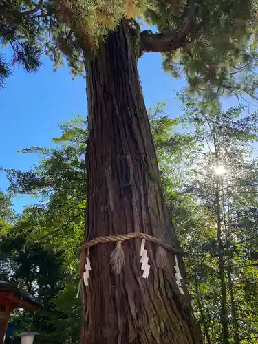 香取神宮(千葉県)