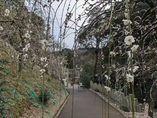 大縣神社(愛知県)