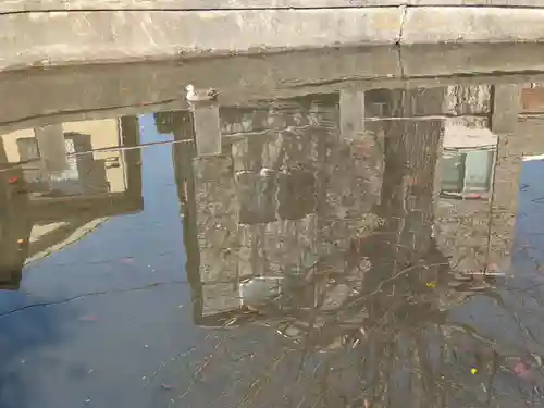 寺谷弁才天の動物