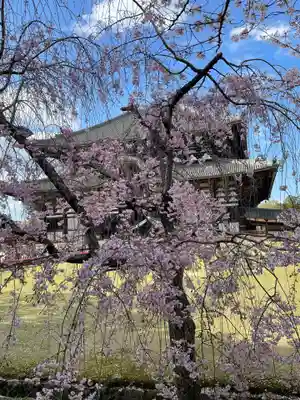 東大寺(奈良県)