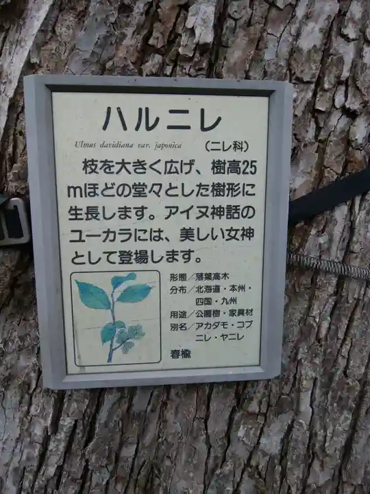 当別神社(北海道)