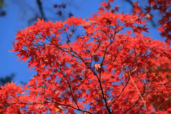 國祖神社の景色