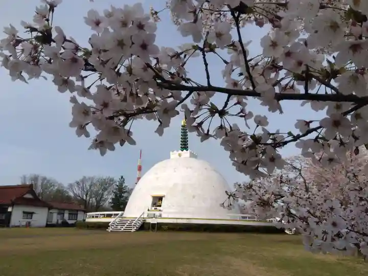 妙法寺(福井県)