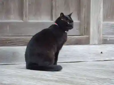 かっぱの寺 栖足寺(静岡県)