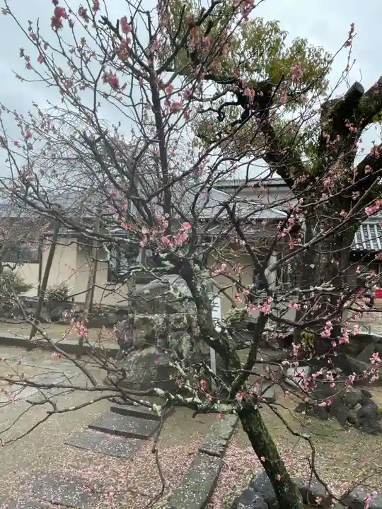 長尾天神宮(香川県)