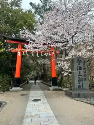 宇治上神社の{uncategorized: "未分類", other: "その他", undefined: "問題あり", building: "その他建物", grave: "お墓", sacred_gate: "鳥居", guardian: "狛犬", statue: "像", buddha: "仏像", history: "歴史", nature: "自然", garden: "庭園", animal: "動物", pagoda: "塔", temizu: "手水舎", mountain_gate: "山門・神門", sanctuary: "本殿・本堂", subordinate: "末社・摂社", art: "芸術", scenery: "景色", jizo: "地蔵", ema: "絵馬", goshuin: "御朱印", omikuji: "おみくじ", items: "授与品その他", amulet: "お守り", goshuincho: "御朱印帳", eats: "食事", festival: "お祭り", votive_dance: "神楽", shichigosan: "七五三参", wedding: "結婚式", experience: "体験その他", initially: "初詣", around: "周辺", anti_infection: "感染症対策"}