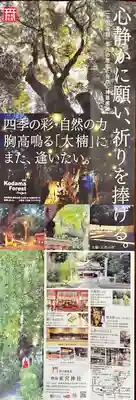 來宮神社(静岡県)