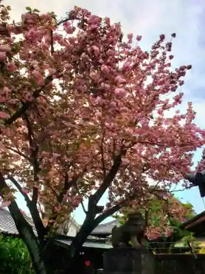 荘厳寺(東京都)