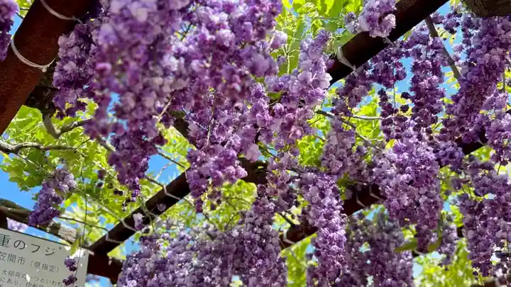 和氣神社(和気神社)(岡山県)