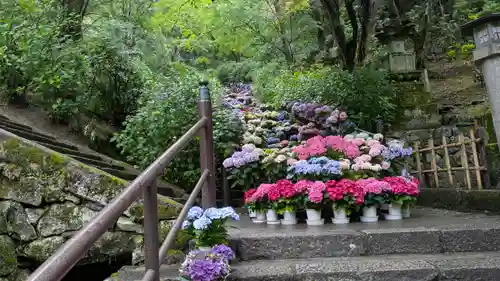 長谷寺(奈良県)