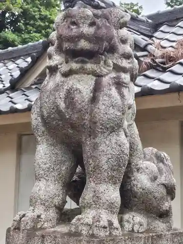 豊玉氷川神社の狛犬