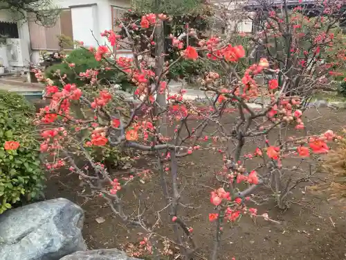 最願寺の{uncategorized: "未分類", other: "その他", undefined: "問題あり", building: "その他建物", grave: "お墓", sacred_gate: "鳥居", guardian: "狛犬", statue: "像", buddha: "仏像", history: "歴史", nature: "自然", garden: "庭園", animal: "動物", pagoda: "塔", temizu: "手水舎", mountain_gate: "山門・神門", sanctuary: "本殿・本堂", subordinate: "末社・摂社", art: "芸術", scenery: "景色", jizo: "地蔵", ema: "絵馬", goshuin: "御朱印", omikuji: "おみくじ", items: "授与品その他", amulet: "お守り", goshuincho: "御朱印帳", eats: "食事", festival: "お祭り", votive_dance: "神楽", shichigosan: "七五三参", wedding: "結婚式", experience: "体験その他", initially: "初詣", around: "周辺", anti_infection: "感染症対策"}
