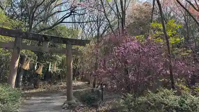 吉備津岡辛木神社(岡山県)