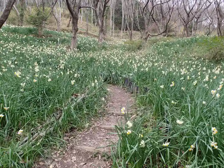 鐸比古鐸比賣神社旧社地の自然