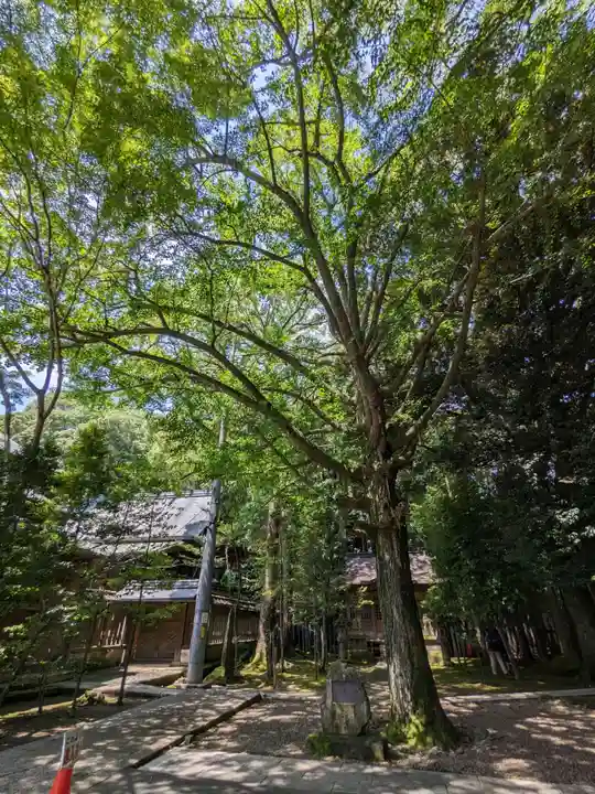 宇都宮二荒山神社の自然