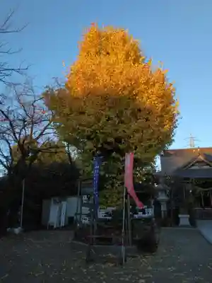 矢向日枝神社(神奈川県)