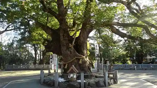 大麻比古神社の建物その他