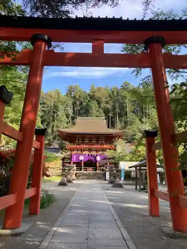 丹生都比売神社の鳥居