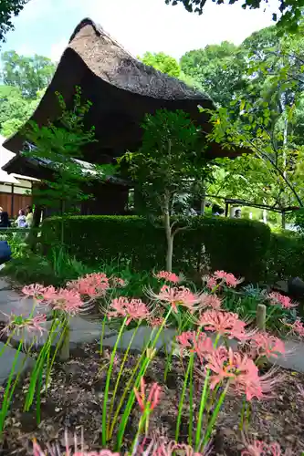 横浜　西方寺(神奈川県)