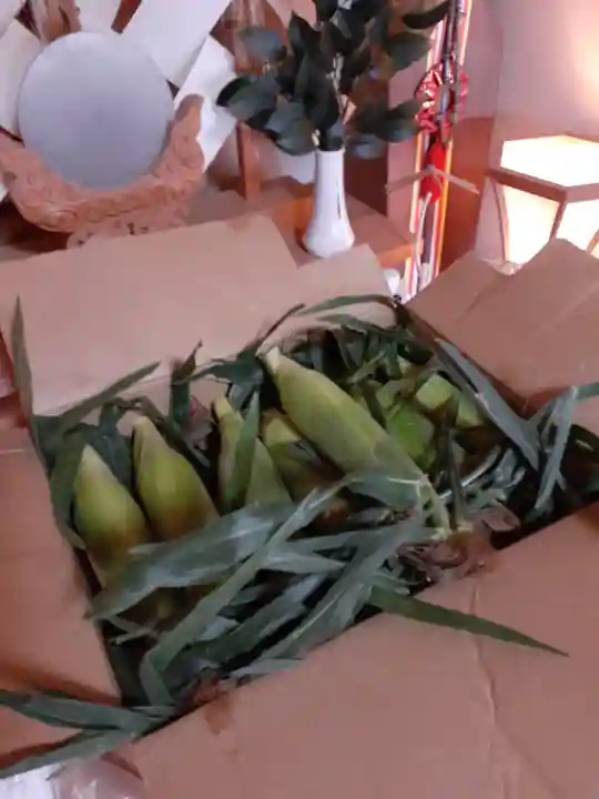 伏木香取神社(茨城県)