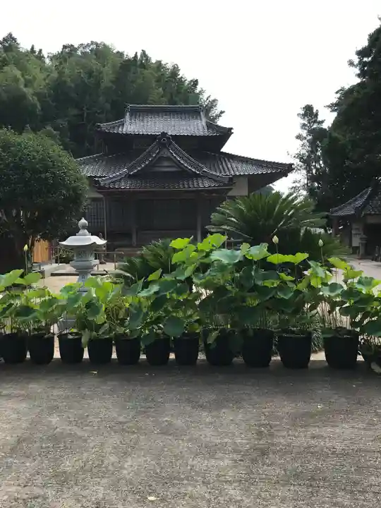 霊感寺の本殿・本堂