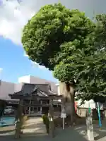 田代外町天満宮(佐賀県)