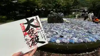 久安寺の御朱印 2024年06月