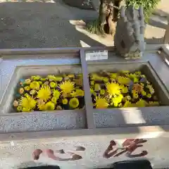 比々多神社(神奈川県)