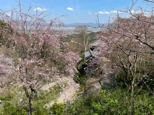 善峯寺(京都府)