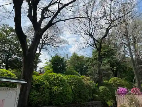 根津神社(東京都)
