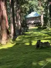 平泉寺白山神社(福井県)